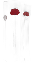 Flower By Kenzo