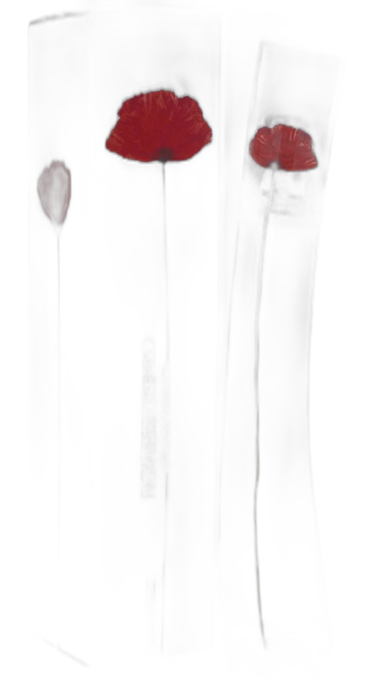 Flower By Kenzo