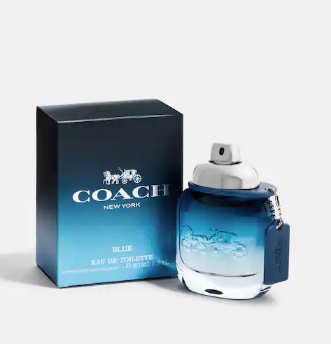 Coach Blue Eau de Toilette 100ML